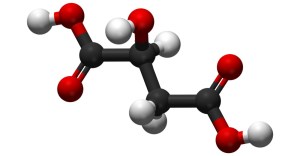 apple-y. not puppy-like.