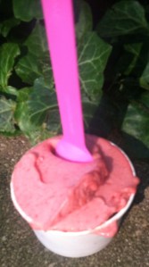 Strawberry-Rhubarb Sorbet at Black Dog.